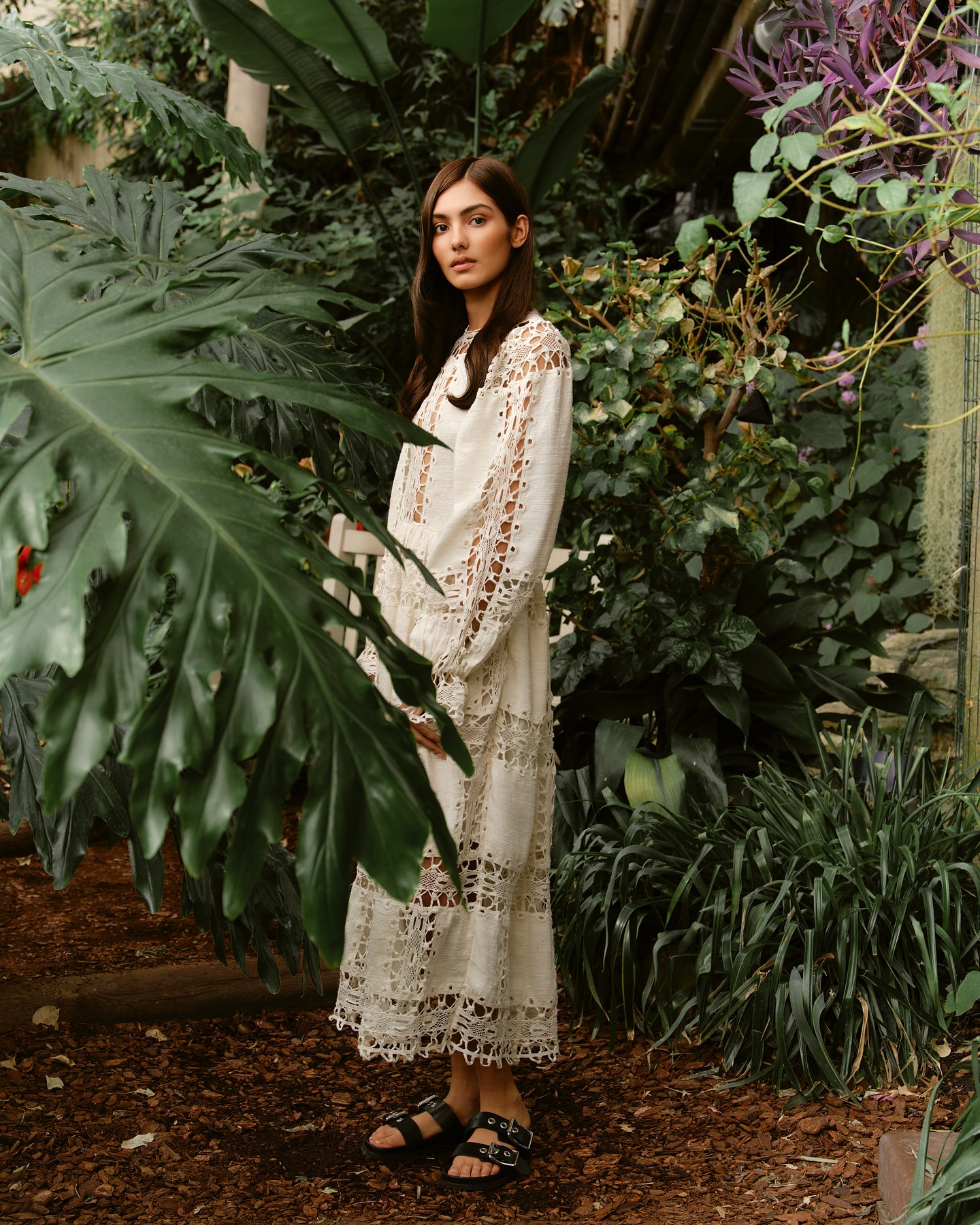 Plauku stiliaus kurimams i prieziura namuose